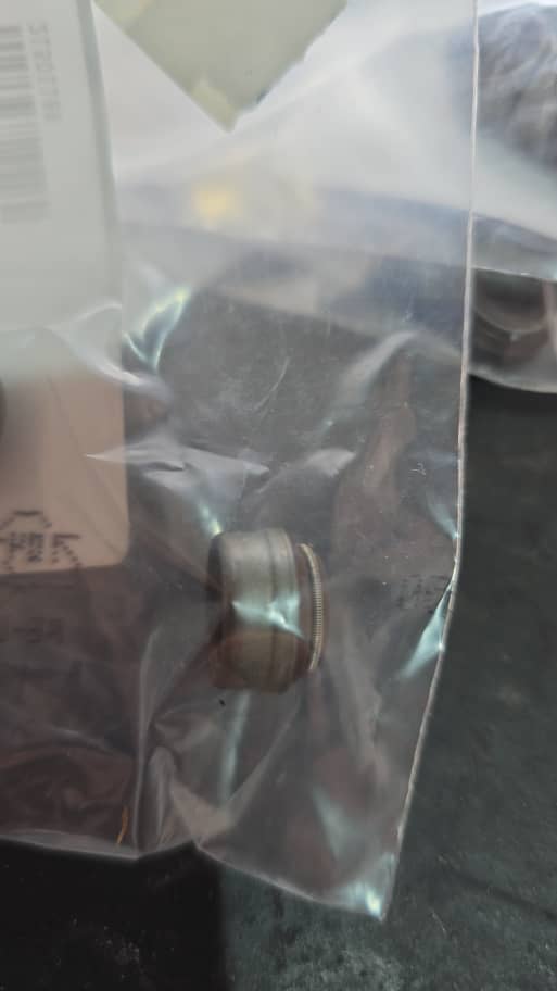 لاستیک ساقه سوپاپ FH12 اصلی 21501189